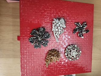 5 Pc  Assorted  Brooch

 Pin Only $19.99
