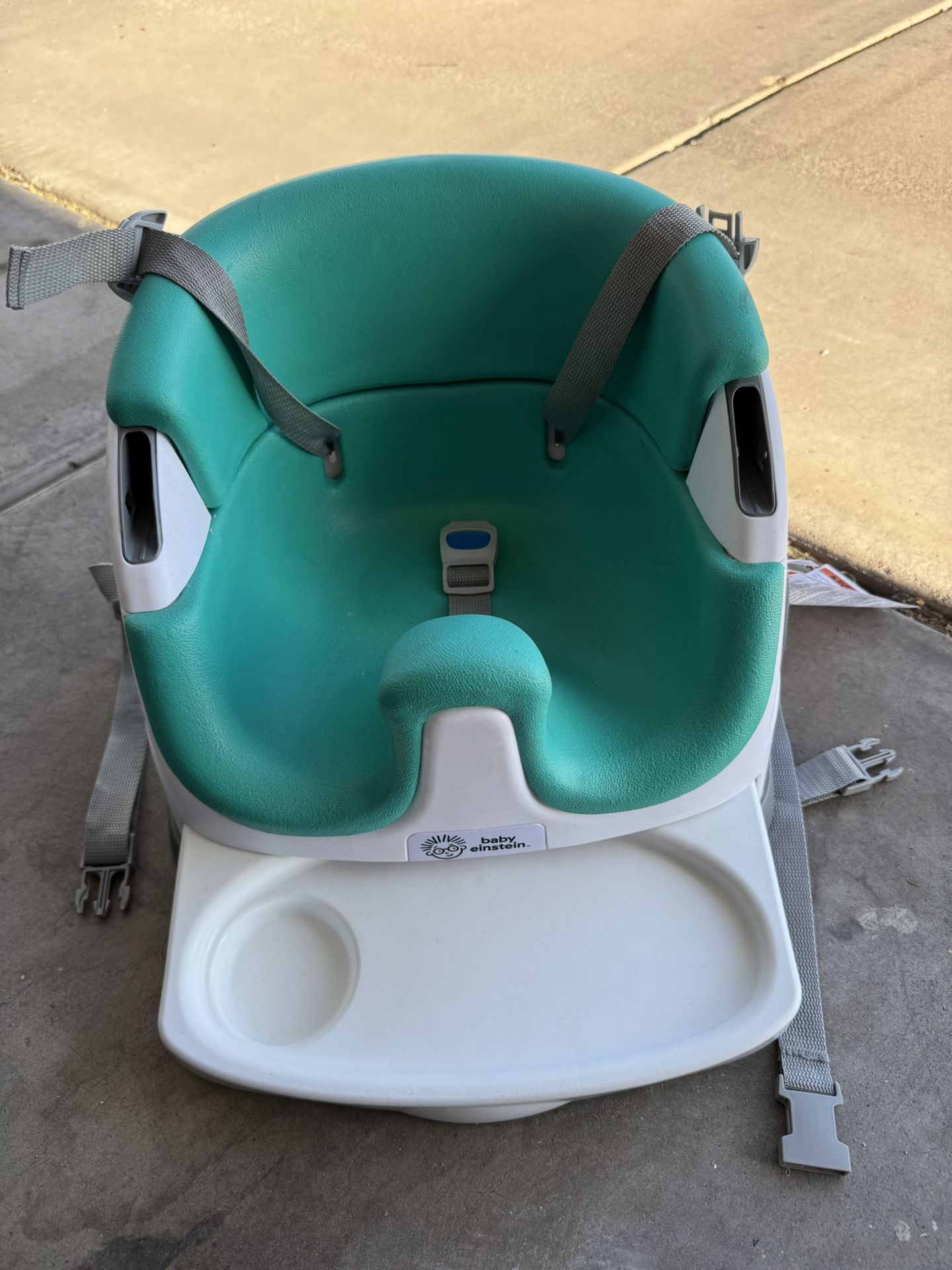 Einstein Booster Seat