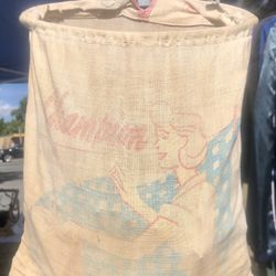 1950’s Champion Hanging Clothes Pin Bag & Pins