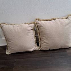 Decrotive Pillows 