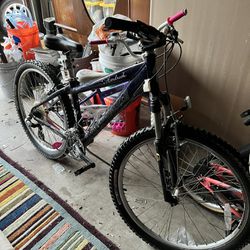 26” Mountain +trailer Bike 