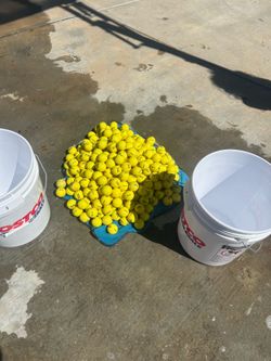 300 strata golf balls