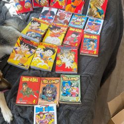Dragon Ball Z manga 