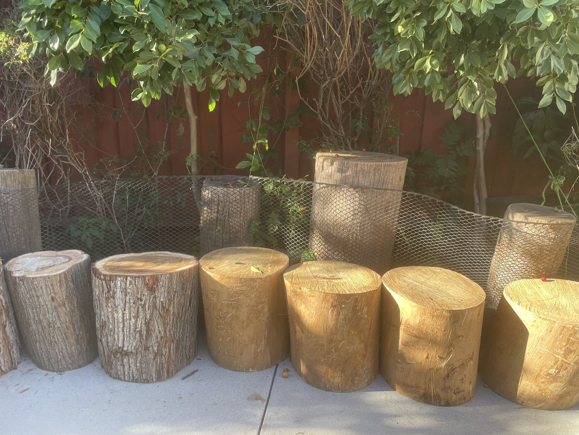 Wood Stumps