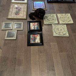 $50– Assorted Pictures and Mirrors 