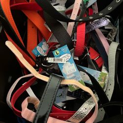Dog Collars