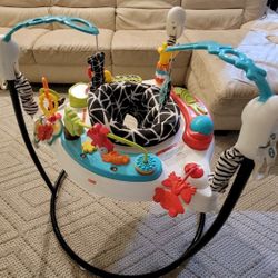 Fisher-Price Jumperoo Baby Jumper