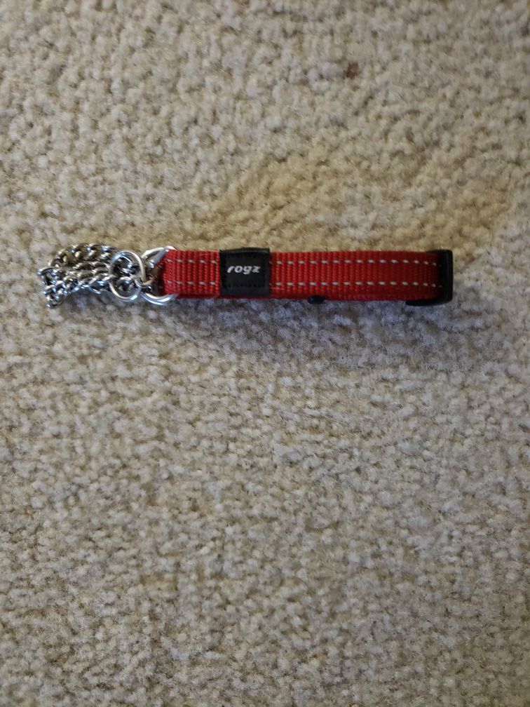 New dog collar without tags(pic for size)