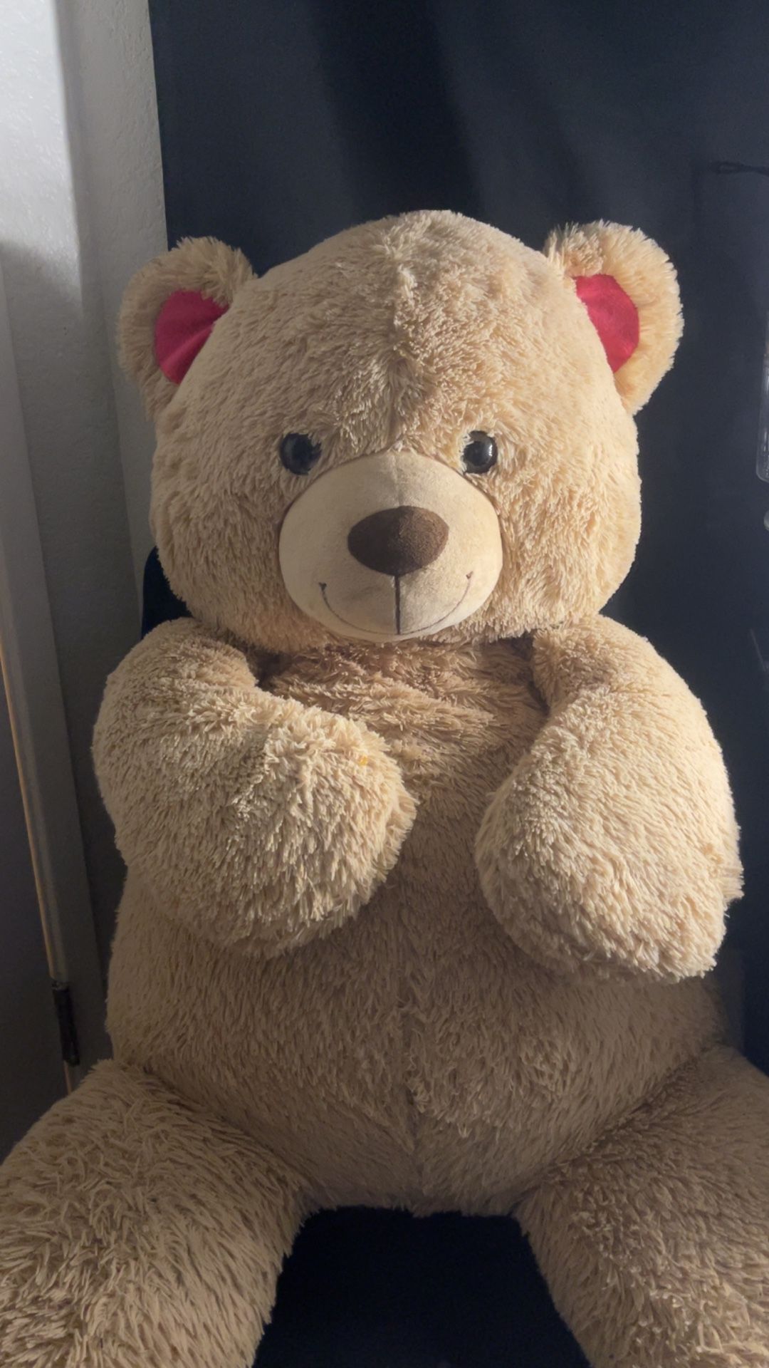jumbo stuffed bear 🧸