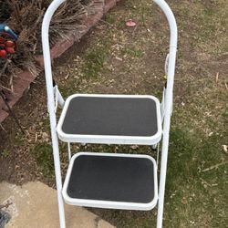 Ladder 2step Fold $29      