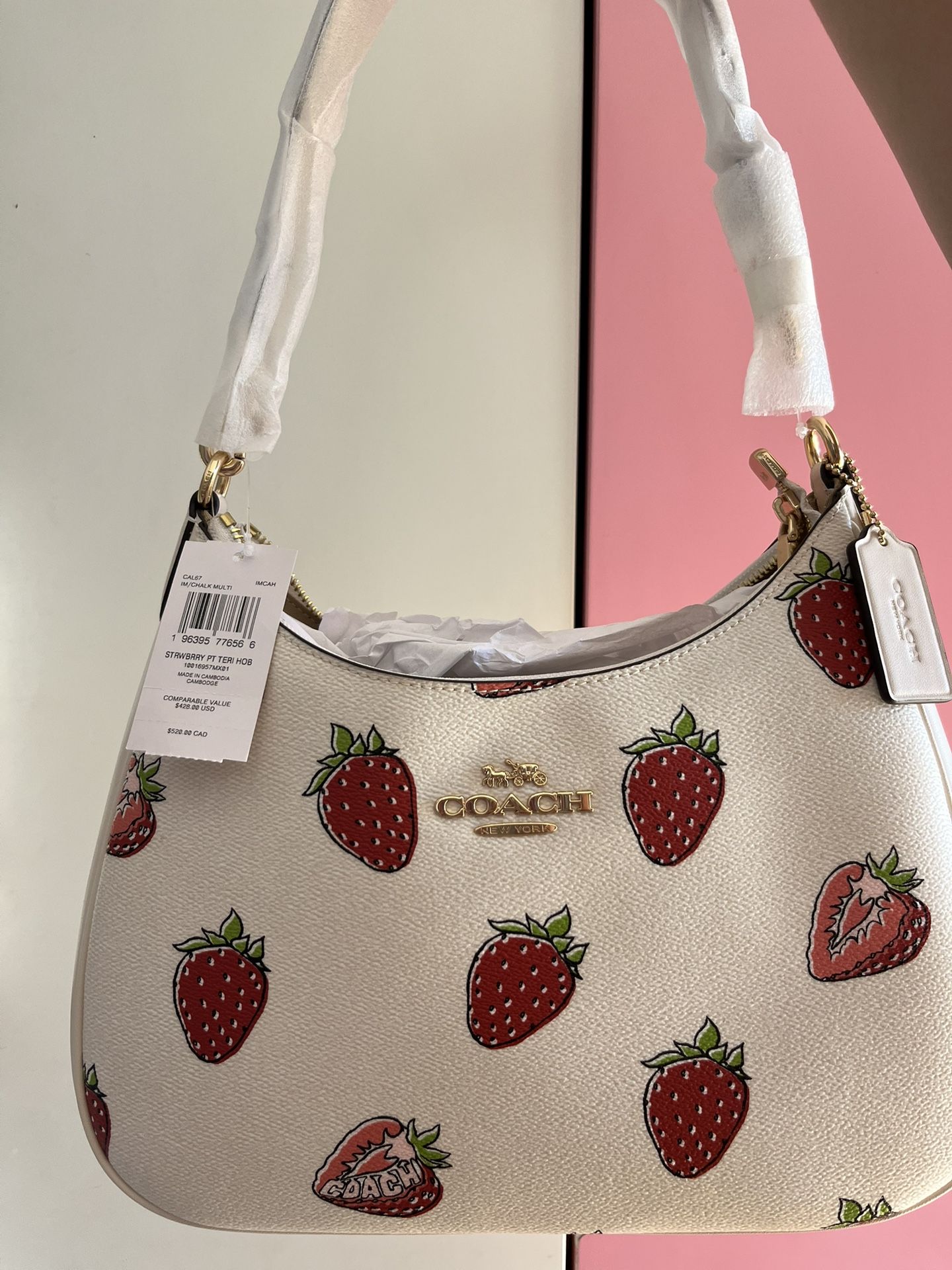 Coach Teri Hobo Bag 🍓 