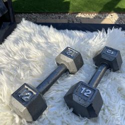12 Lb Weights 