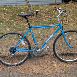 Bridgestone CB-3 (City Bike 3) 18" Medium Size Vintage Commuter Bike