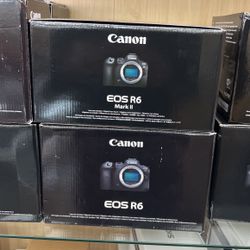 Canon Eos R6 Mark 2 New