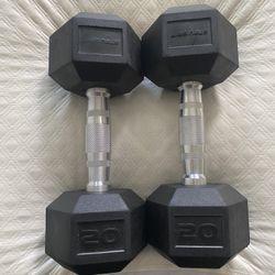 20 lbs Weights 