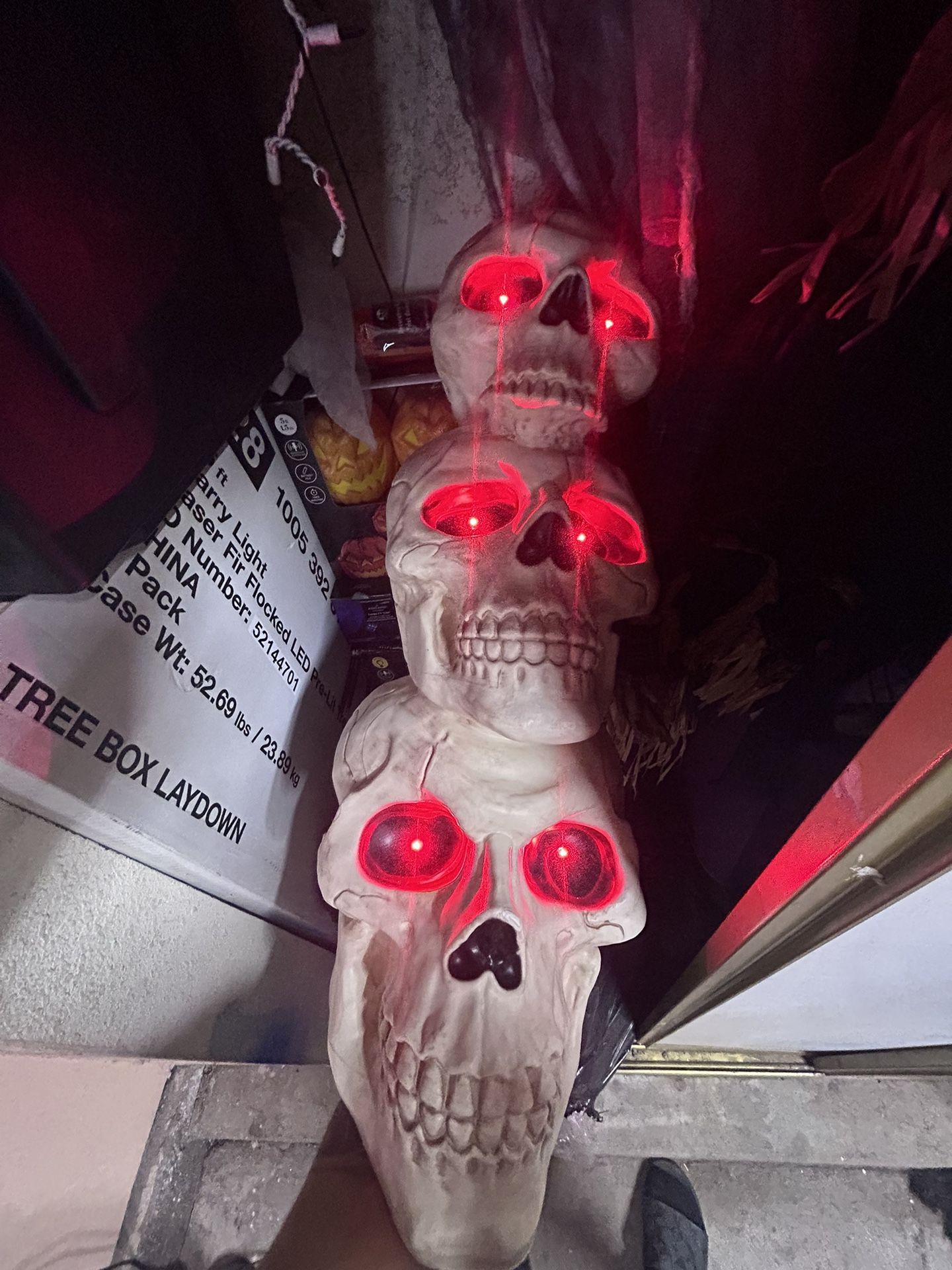 Halloween Skulls