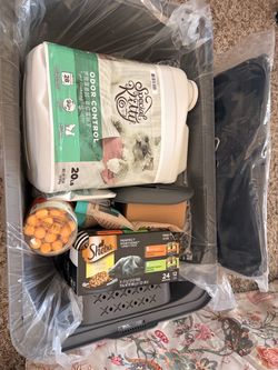 New cat essentials: litter box, toys, food