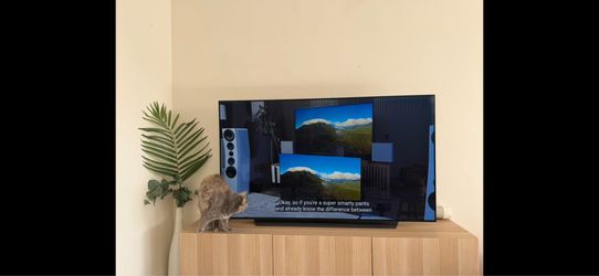 Lg oled C9 tv 65”