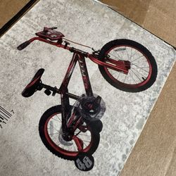 16” Kids Bicycle Only Asking $60 (financing Available) 