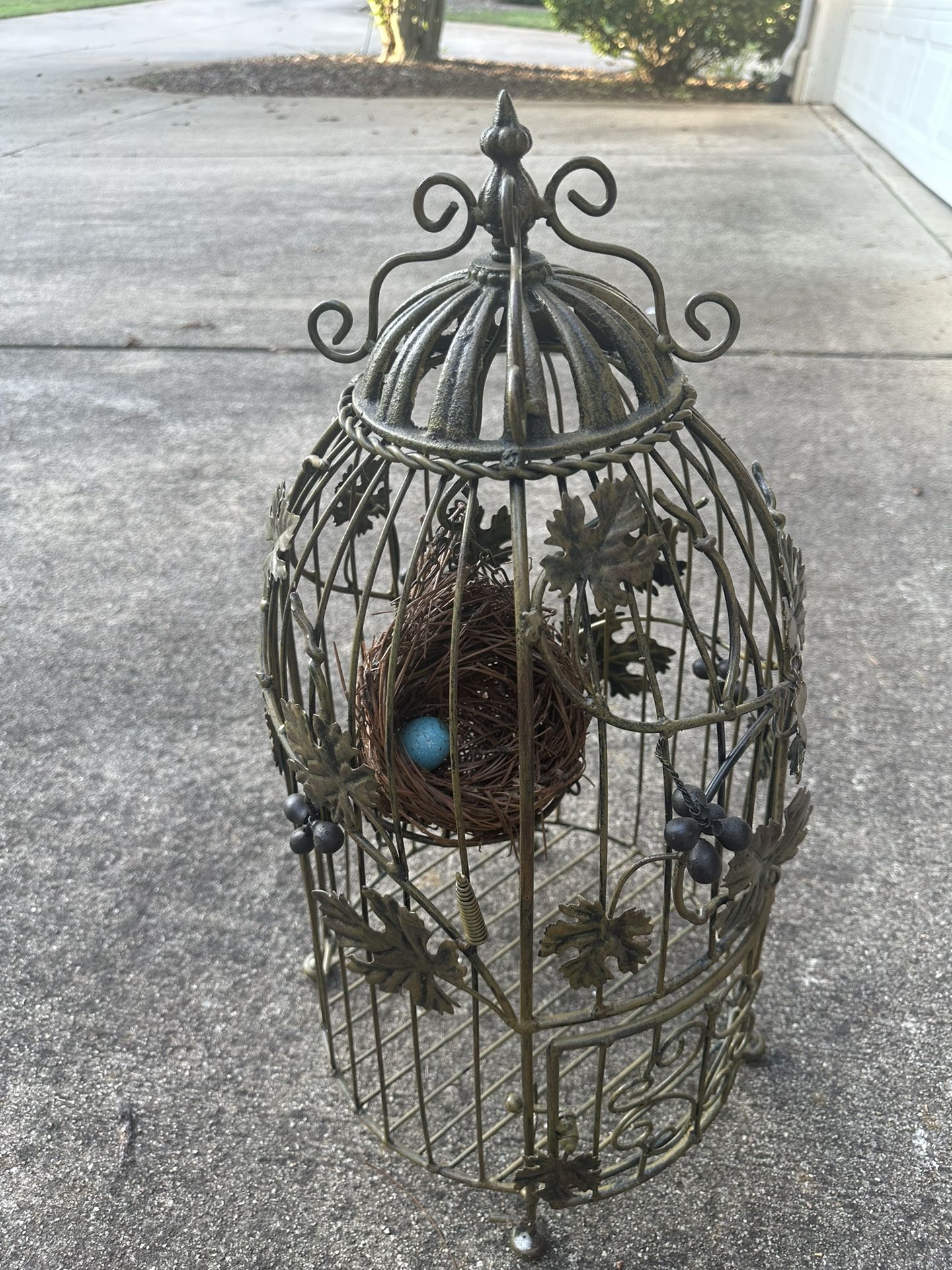 Bird Cage