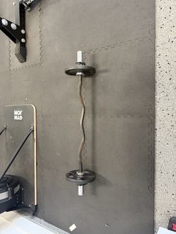 Curl Bar