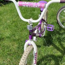 Buenas Condiciones $70 Por Las  Dos