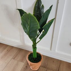 New Faux Banana Leaf Plant Tree In Terracotta Pot