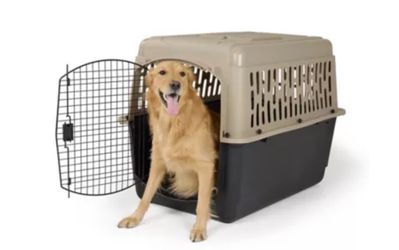 Top Paw Large Dog Carrier