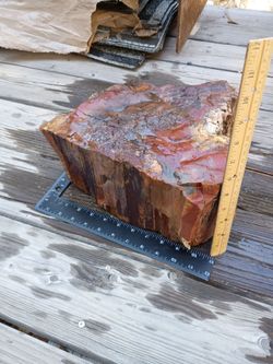 Petrified wood