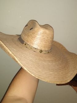 Large Mexican Hat