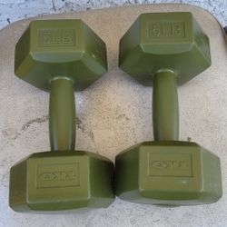 5 lbs pound green plastic tyko weights dumbbell 
