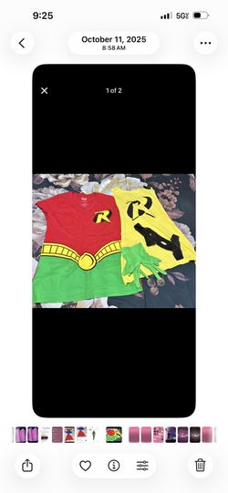 Robin Costume