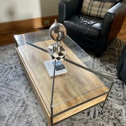 West Elm Art Display Coffee Table