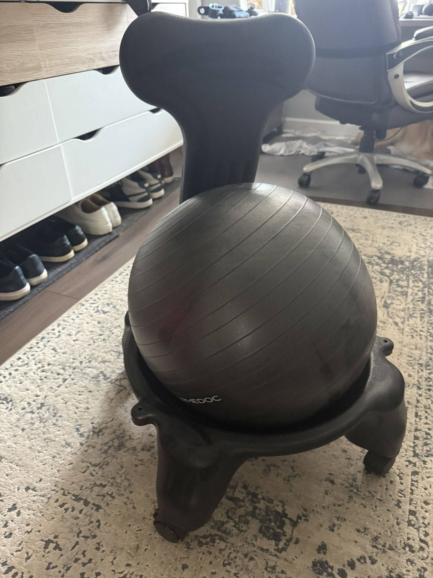 Exercise Ball Chair 