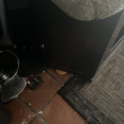 Enclosed Cat Litter Box