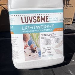 Cat Litter Unscented 