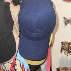 Never Been Worn Navy Blue S Puma Cap