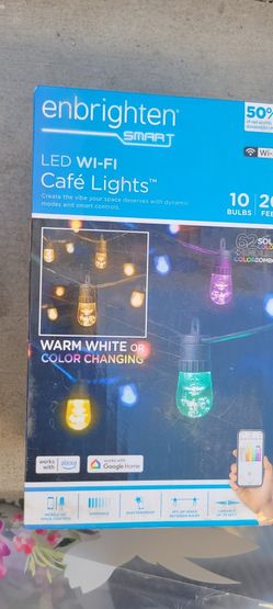Enbrighten Seasons Vintage LED Cafe String Lights, 48ft, 24 Acrylic Bulbs, Color Changing, Indoor/OutdoorUltraPro Simple Set Digital Timer, 1-Groun