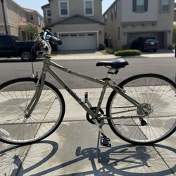 Raleigh all terrain Bike