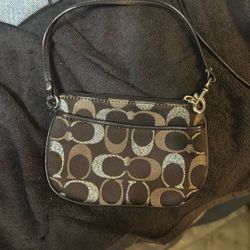 Coach Small Bag