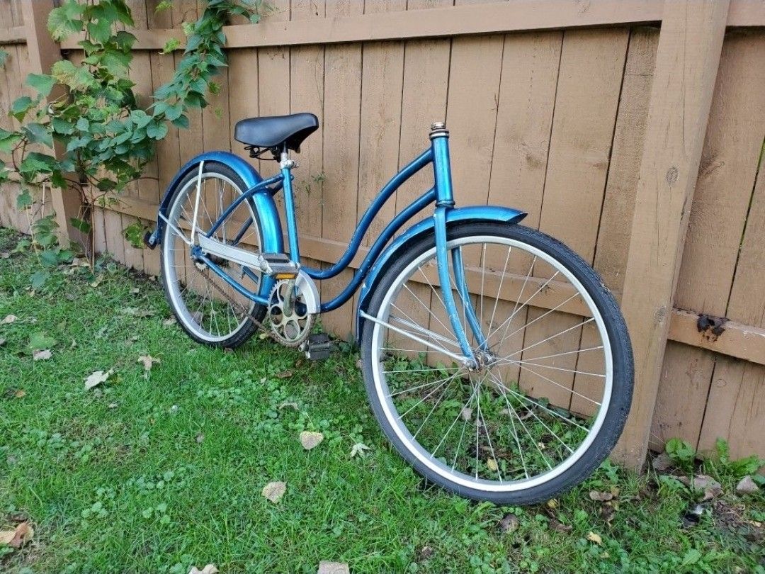 Schwinn Cruiser 70's