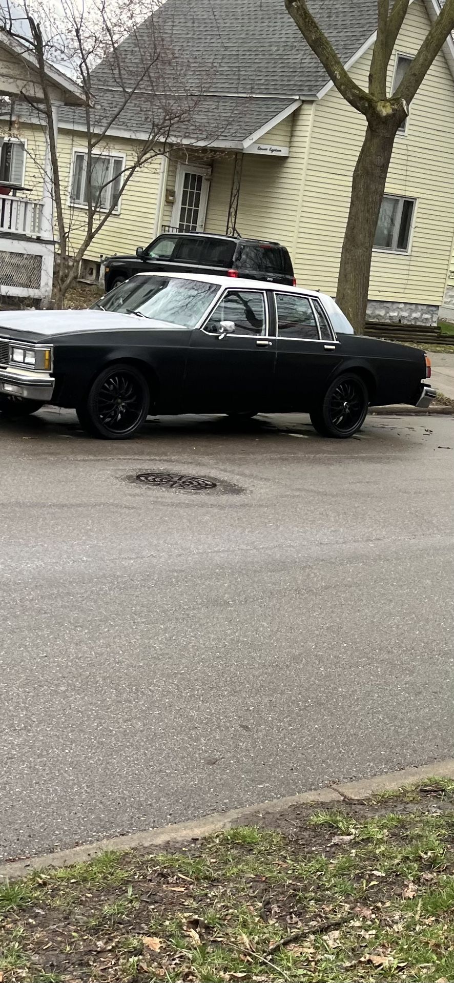 1984 Oldsmobile Delta Eighty-Eight