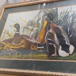 Artist James Audubon Title Mallard Duck