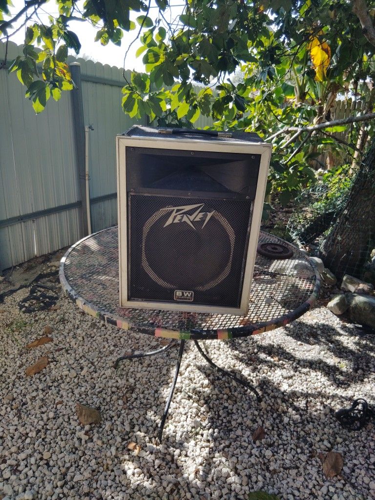 Peavey 112 International Transducer