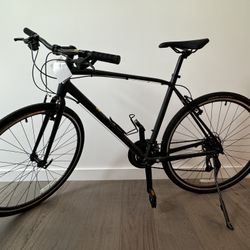 Giant Escape 3 Large (2022)