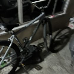 Throne 29er