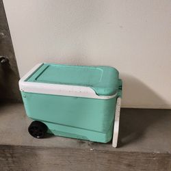 Igloo Cooler
