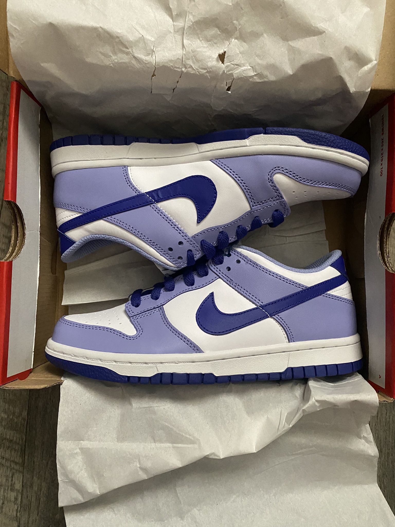 Nike Dunk Low Blueberry Size