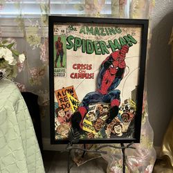 Spider - Man Picture 20”H 15”W