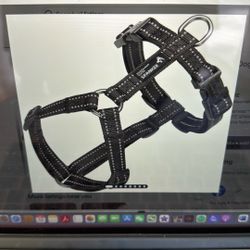 Spanker Dog Harness